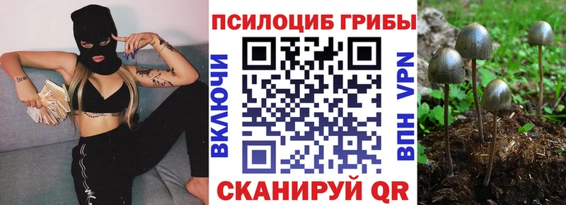 Псилоцибиновые грибы Cubensis blacksprut как зайти Озёрск
